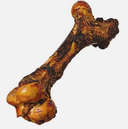 Mammoth Bone